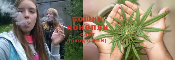 амф Осташков