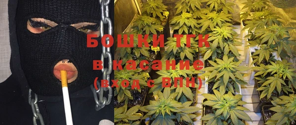 дживик Осинники