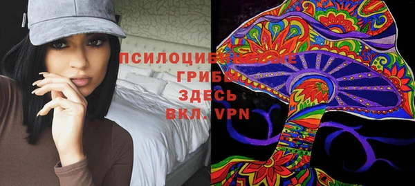 амф Осташков