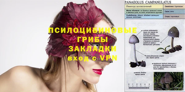 амф Осташков