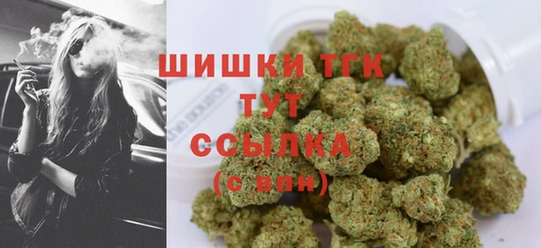 прущие грибы Нягань