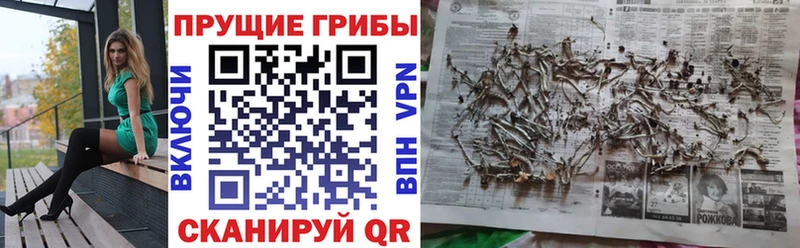 Галлюциногенные грибы мухоморы ссылка на мегу сайт Тетюши